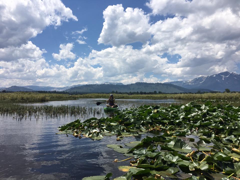 paddleboard Upper Truckee Marsh